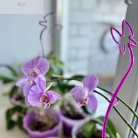 3-к квартира в Дружном